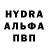 Канабис OG Kush nurlisva pardede