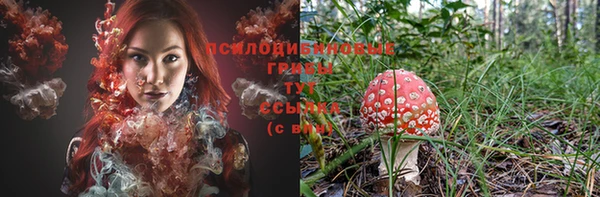 шишки Алексеевка