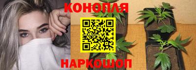 индика Кунгур